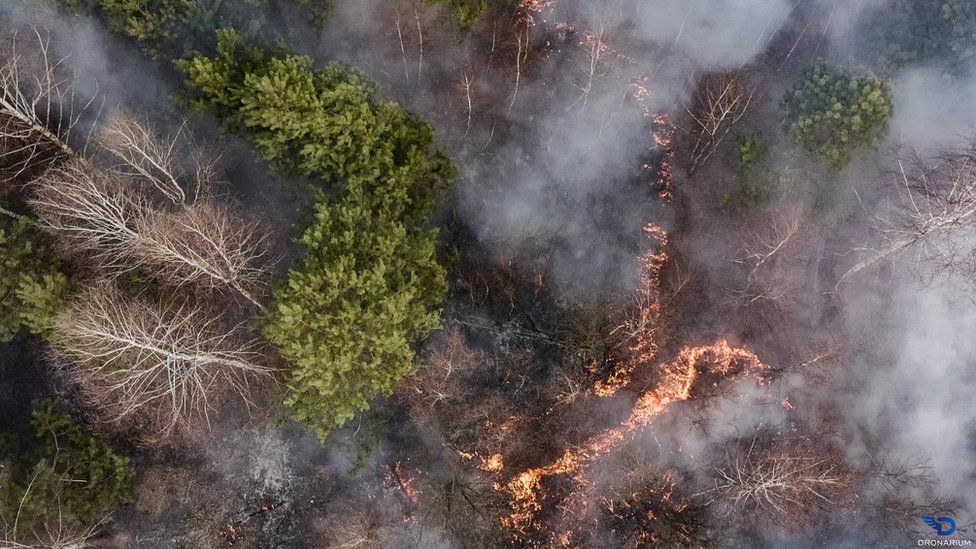 В лесу на Украине горит пожар
